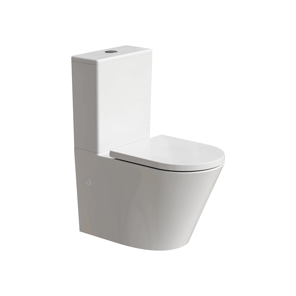 Back To Wall Toilet